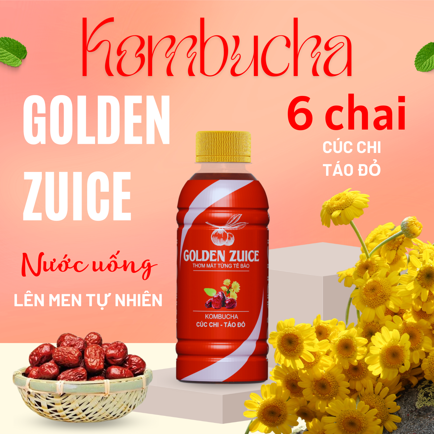 Cúc chi – Táo đỏ