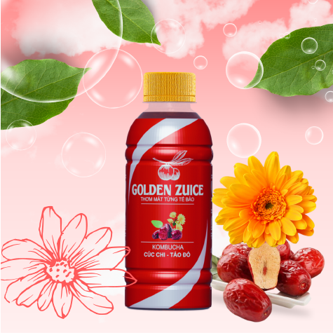 Kombucha Cúc chi – Táo đỏ thùng 24 chai