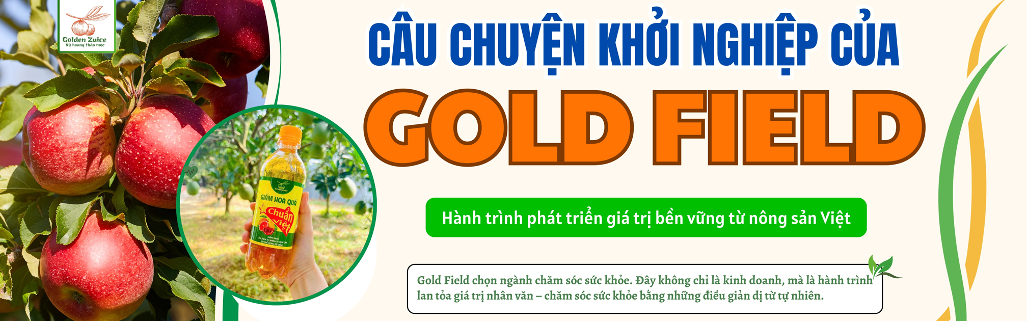 Câu chuyện thương hiệu Banner