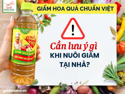 🍶 CẦN LƯU Ý GÌ KHI NUÔI GIẤM TẠI NHÀ?