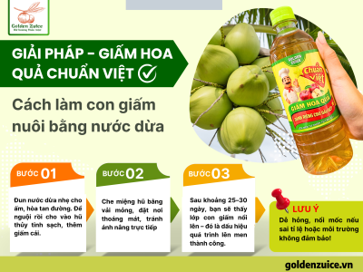 🥥 Cách làm giấm bằng nước dừa – Và lựa chọn tối ưu từ Giấm hoa quả Chuẩn Việt