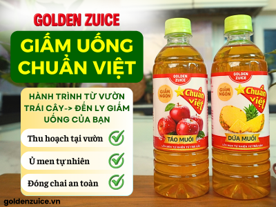 HÀNH TRÌNH GIẤM TỪ VƯỜN TRÁI CÂY ĐẾN LY GIẤM UỐNG CỦA BẠN