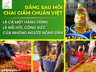 ĐẰNG SAU MỖI CHAI GIẤM: CÂU CHUYỆN IM LẶNG CỦA HỢP TÁC XÃ