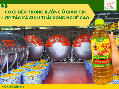 ĐẰNG SAU MỖI CHAI GIẤM HOA QUẢ CHUẨN VIỆT : HÀNH TRÌNH THẬT SỰ TỪ HTX SINH THÁI CÔNG NGHỆ CAO
