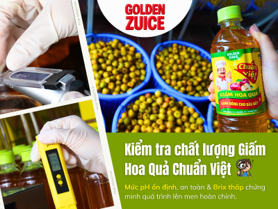 MỘT PHÚT KIỂM TRA CHẤT LƯỢNG GIẤM TẠI CHUẨN VIỆT