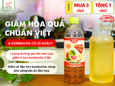 Giấm Uống Chuẩn Việt và Kombucha — Đâu là lựa chọn tốt hơn cho sức khỏe?